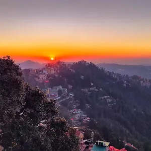 https://the-ashoka-inn.shimlahotels.net